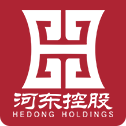 河東控股集團有限公司—河東集團、河東控股集團、河東控股